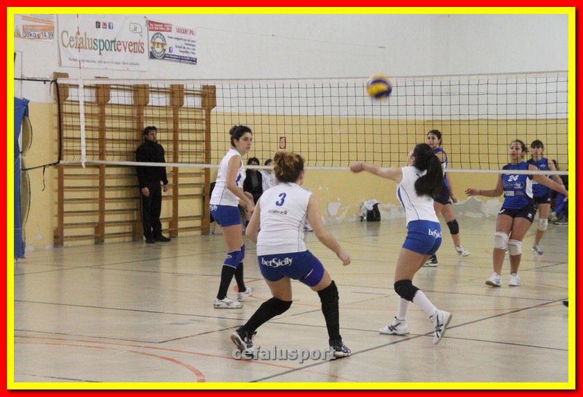 140305 Primula 114_tn.jpg